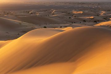 Merzouga desert Morocco sunrise golden hour van Wendy Bos