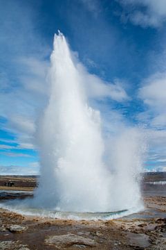 Un geyser actif en Islande