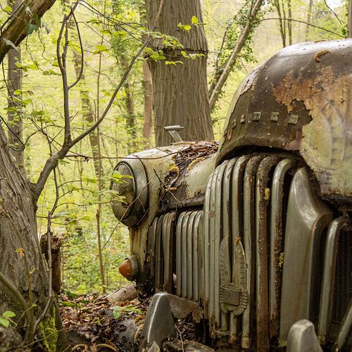 Reclaimed by nature