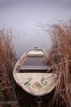 Misty morning mood van Halma Fotografie