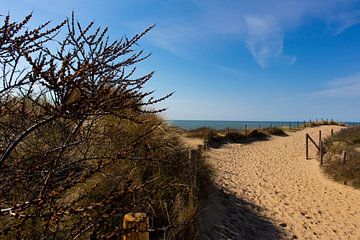 Chemin de dune, entrée de la plage sur John Brugman