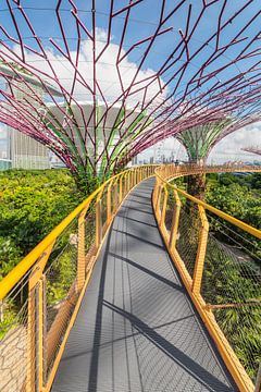 Skyway, Supertrees, Gardens by the Bay, Singapore by Markus Lange