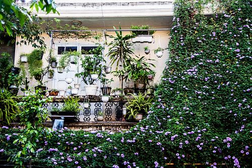 Grüner Balkon in Hoi An, Vietnam
