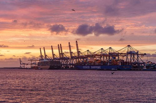 Zonsondergang in de haven van Rotterdam.