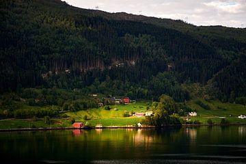 Nordfjord in het westen van Noorwegen met glad water en torenhoge bergtoppen, aan de voet waarvan een paar boerderijen schitteren in de zon van Stefan Dinse
