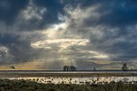 Sunrise in Dwingelderveld