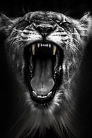 Lionne rugissante