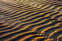 Details in het zand