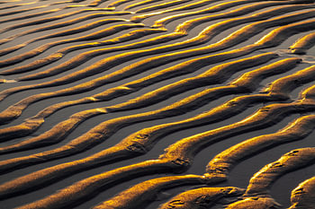 Details in het zand