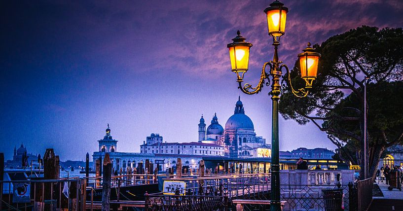 Santa Maria della Salute - Venedig - Italien von David Krause