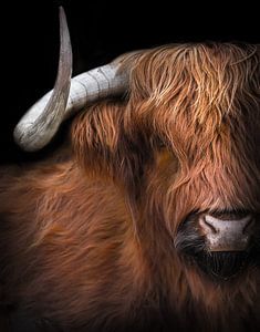 Scottish Highlander by Karel Ton