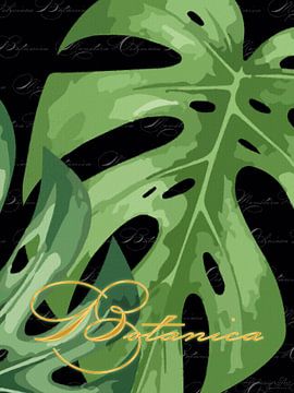 Monstera auf Schwarz mit Botanica als Triptychon 3 v. 3