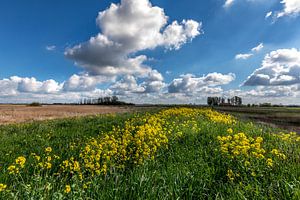 Ciel néerlandais dans la réserve naturelle de Onlanden