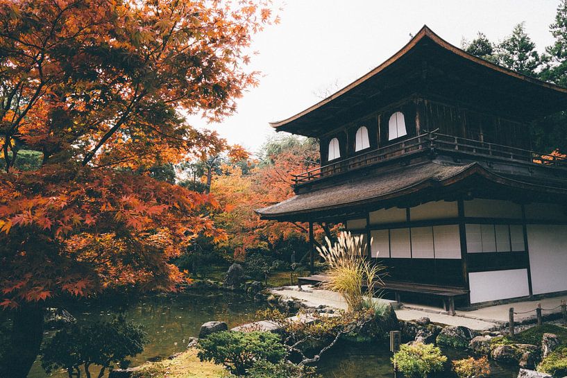 Kyoto by Hello Pompoyo