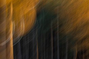 Forest theater (abstract)