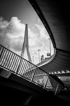 Pont Erasmus sur SVPhotographie