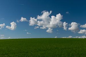Schöne Wolken an einem blauen Himmel über einem grünen Feld