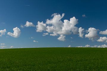 Prachtige wolken in een blauwe lucht boven een groen veld
