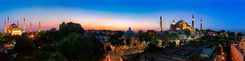 Istanbul-Panorama von Roy Poots