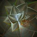 Bloemen van Rosa Fotoart thumbnail