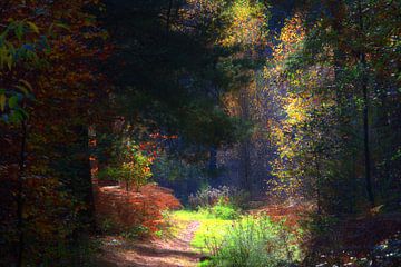 Herfst in het bos 3 van Edgar Schermaul