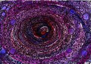 The universe: a world of delights van MY HAPPY SOUL ART thumbnail
