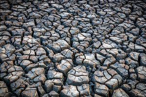 Das Wattenmeer