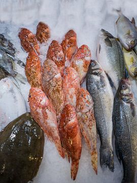 Vismarkt op Mallorca van t.ART