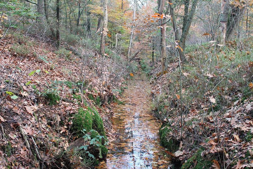 Fluss von giorgi Kotchlamazashvili