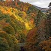 Pass von Killiecrankie Herbstfarbe mit grüner Brücke über den Fluss von Arch White
