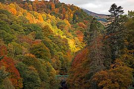 Pass of Killiecrankie autumn colour with green bridge over River by Arch White