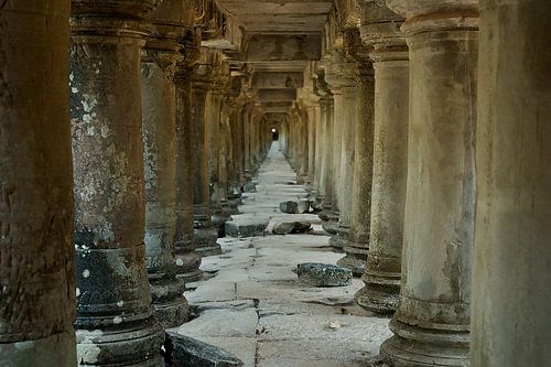 The Light at the End