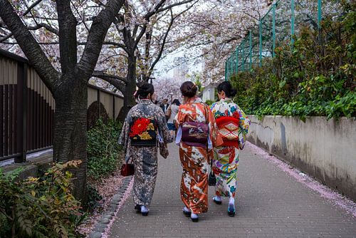 Kimono's en kersenbloesems