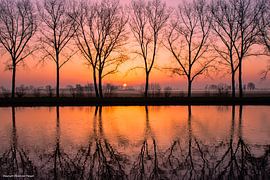 Autumn in the Alblasserwaard by Eibert den Hengst