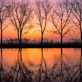 L'automne dans l'Alblasserwaard sur Eibert den Hengst