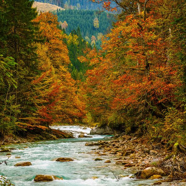 Herfst in het dal van Denis Feiner
