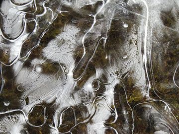 ice and moss by Nicole - Creative like Nomads