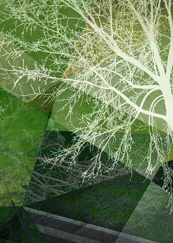 P19-E4a BOMEN EN DRIEHOEKEN