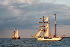 Segelschiffe auf der Hanse Sail in Rostock