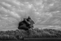 Bilder am Meer