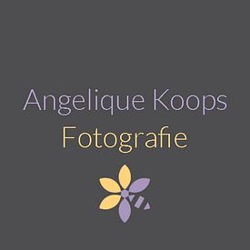 Angelique Koops avatar