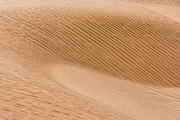 Image abstraite d'une dune de sable dans le désert d'Iran. sur Photolovers reisfotografie