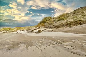 strand en duin na een storm van eric van der eijk