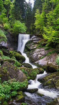 Magische watervallen van een rivier die door het bos stroomt van adventure-photos