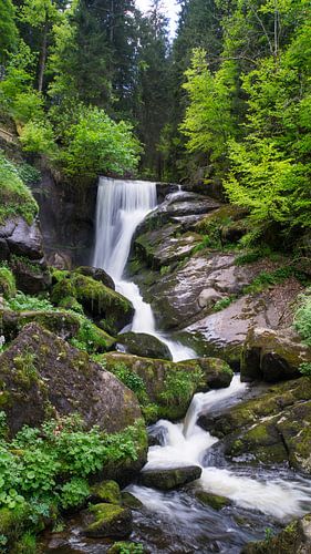 Magische watervallen van een rivier die door het bos stroomt