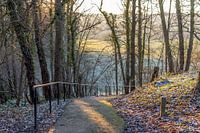 Winterlandschap in Limburg