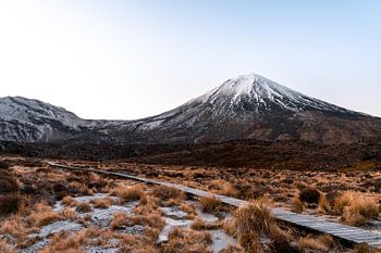 Vroege ochtend wandeling in de bergen(Mordor) Nieuw Zeeland, Tongariro crossing