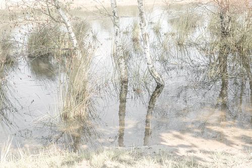 De Loonse en Drunense duinen. 2