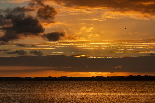 Sunrise at a Danish fjord