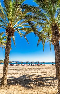 Mooie kust op het eiland Mallorca, strand Platja de Alcudia van Alex Winter